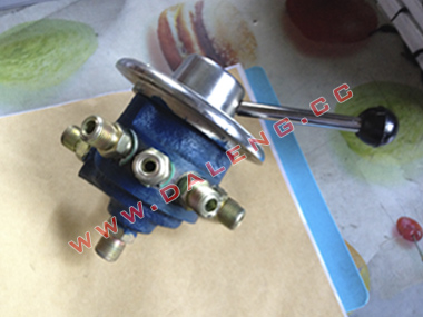  �������ڷ�